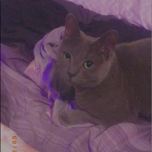 Meet your Posher, Callie